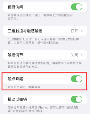 资中苹果授权维修站分享iPhone轻点无法唤醒怎么办 