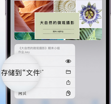 资中apple维修中心分享iPhone文件应用中存储和找到下载文件