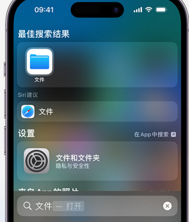 资中apple维修中心分享iPhone文件应用中存储和找到下载文件