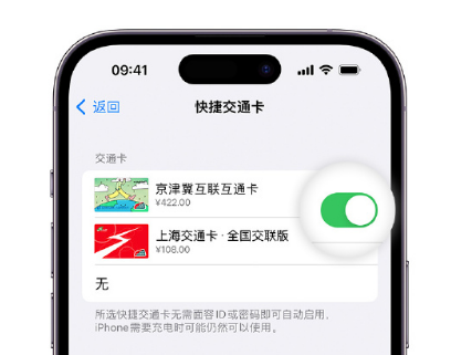 资中apple维修点分享iPhone上更换Apple Pay快捷交通卡手绘卡面 