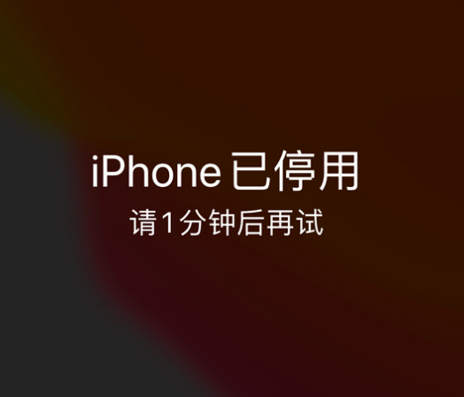 资中苹果手机维修分享:iPhone 显示“不可用”或“已停用”怎么办？还能保留数据吗？ 