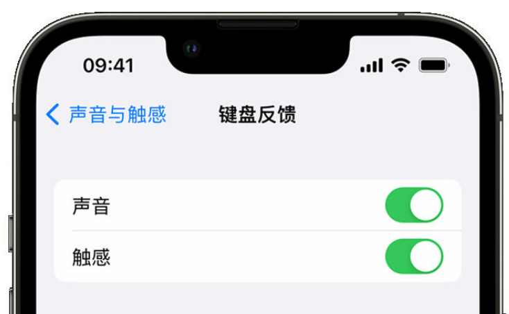 资中苹果手机维修分享iPhone 14触感键盘使用方法 