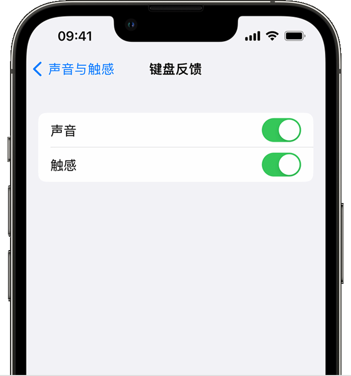 资中苹果14维修店分享如何在 iPhone 14 机型中使用触感键盘 