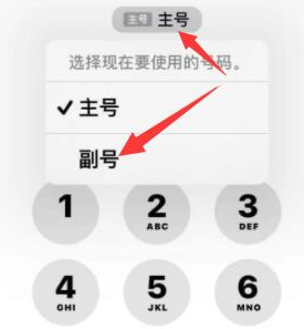 资中苹果14维修店分享iPhone 14 Pro Max使用副卡打电话的方法 