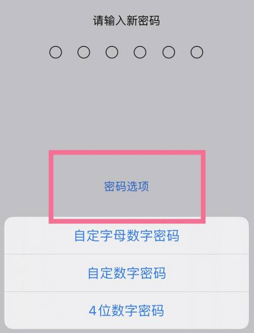 资中苹果14维修分享iPhone 14plus设置密码的方法 