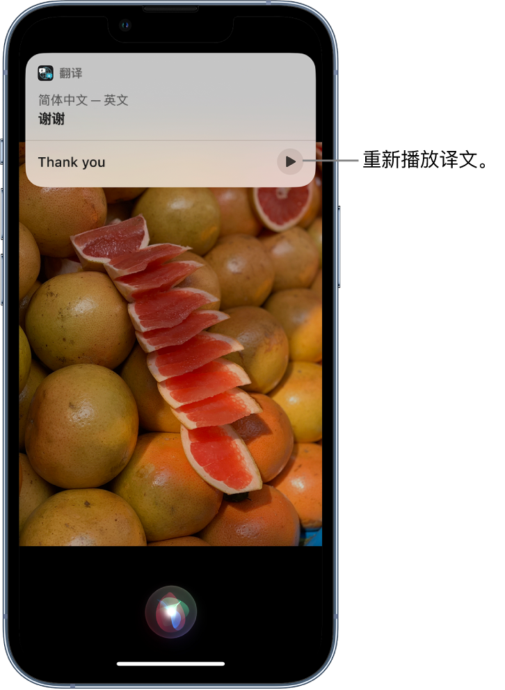 资中苹果14维修分享 iPhone 14 机型中使用 Siri：了解 Siri 能帮你做什么 