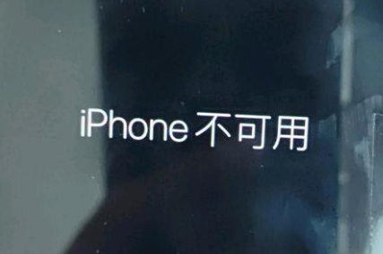 资中苹果服务网点分享锁屏界面显示“iPhone 不可用”如何解决 