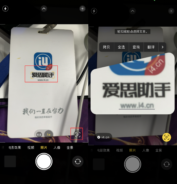 资中苹果手机维修分享升级iOS 16后如何通过相机翻译文本 