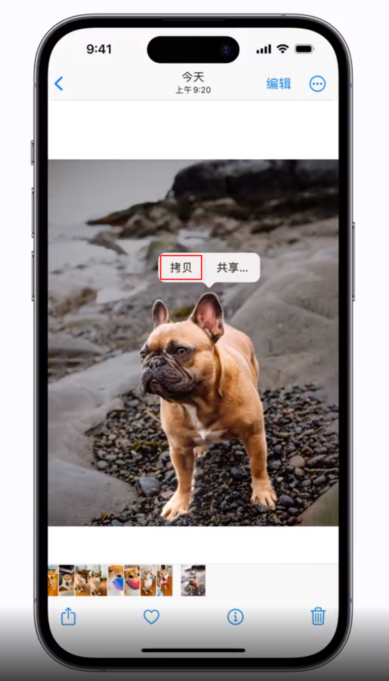 资中苹果手机维修分享 iOS 16 自带一键抠图功能 