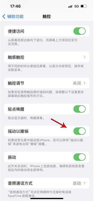 资中苹果手机维修分享iPhone手机如何设置摇一摇删除文字 