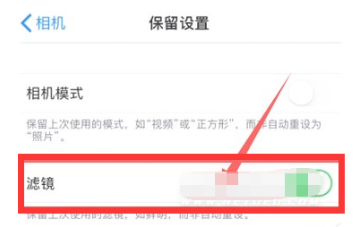 资中苹果13维修分享iPhone13拍照有绿点是怎么回事 