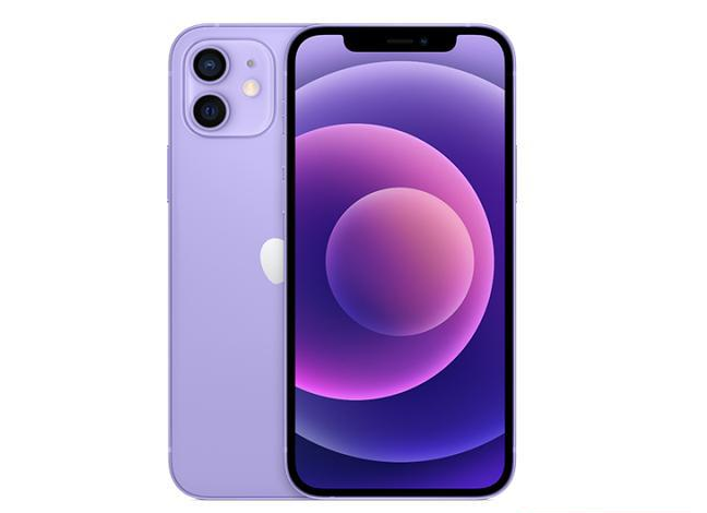 资中苹果手机维修分享现阶段要不要入手紫色版iPhone12 