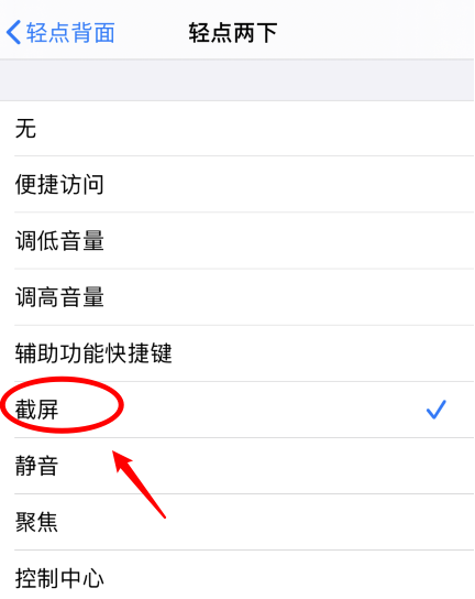 资中苹果手机维修分享iPhone12如何启用双击截屏 