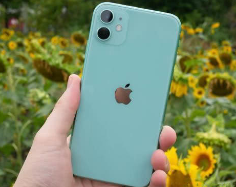 资中苹果维修点分享iPhone 11锁屏密码认知与使用科普 